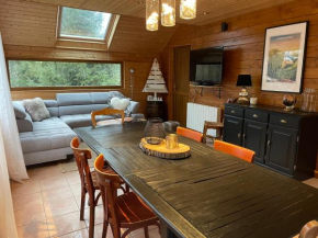 Appartement - Chalet MONT DORE COSY 6/7 personnes
